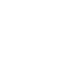 <h3>Brachioplasty (Arm Lift)</h3>